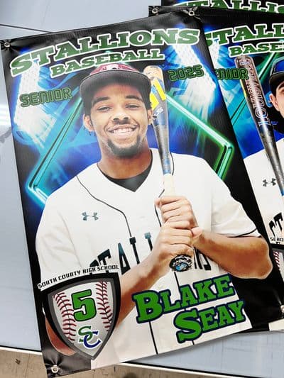 Stallions Senior Banner