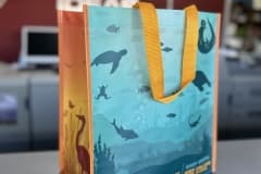 City Of College Park Grocery Tote